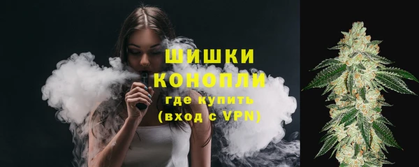 спайс Баксан