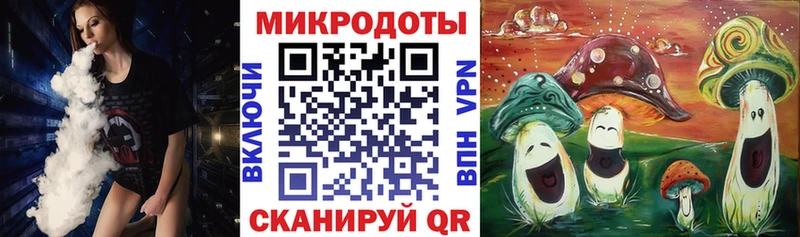 Купить где  Белая Холуница  Псилоцибиновые грибы Cubensis 